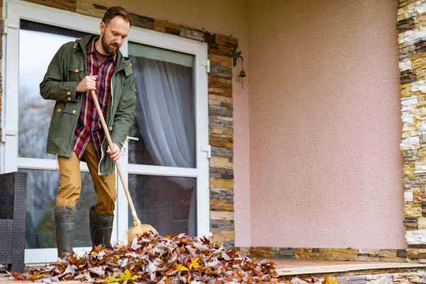 Debris Removal in Moyock, NC